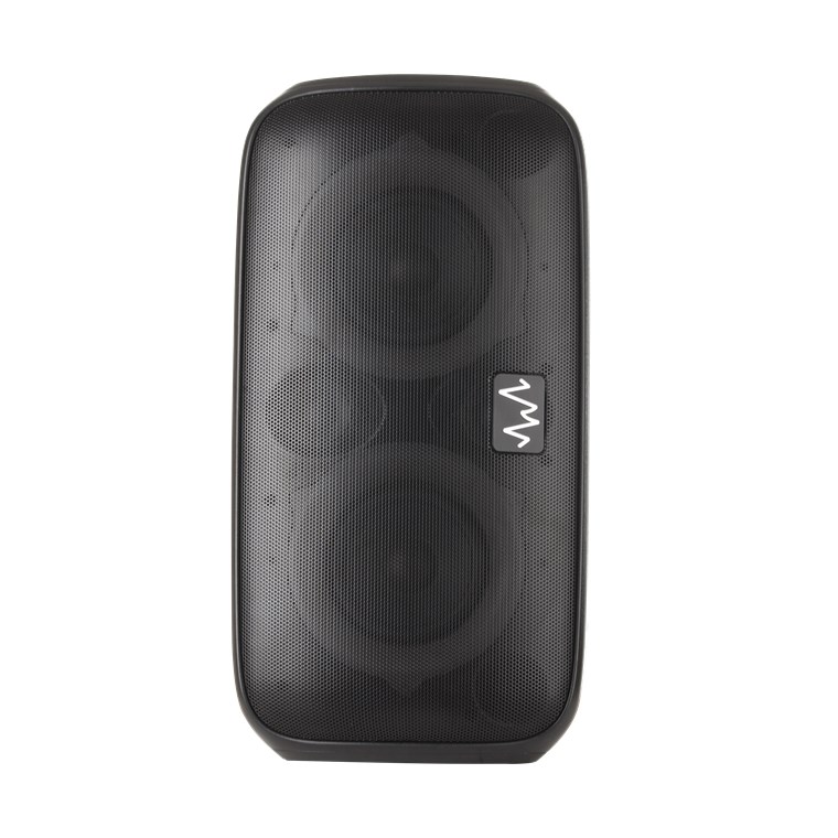 Party Speaker 60 W