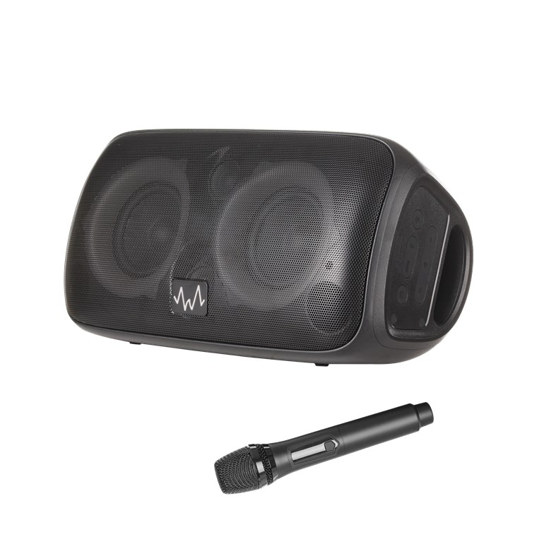 Party Speaker 60 W
